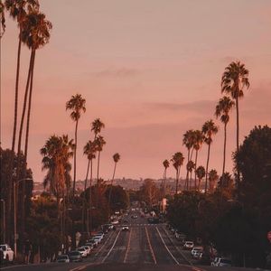 Meet your Posher, Leslie